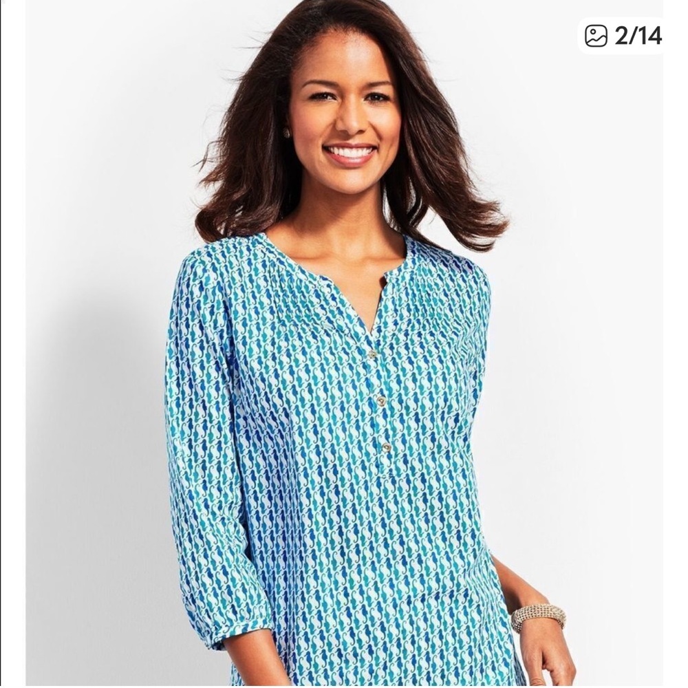 Talbots Blue and White Pintuck Blouse